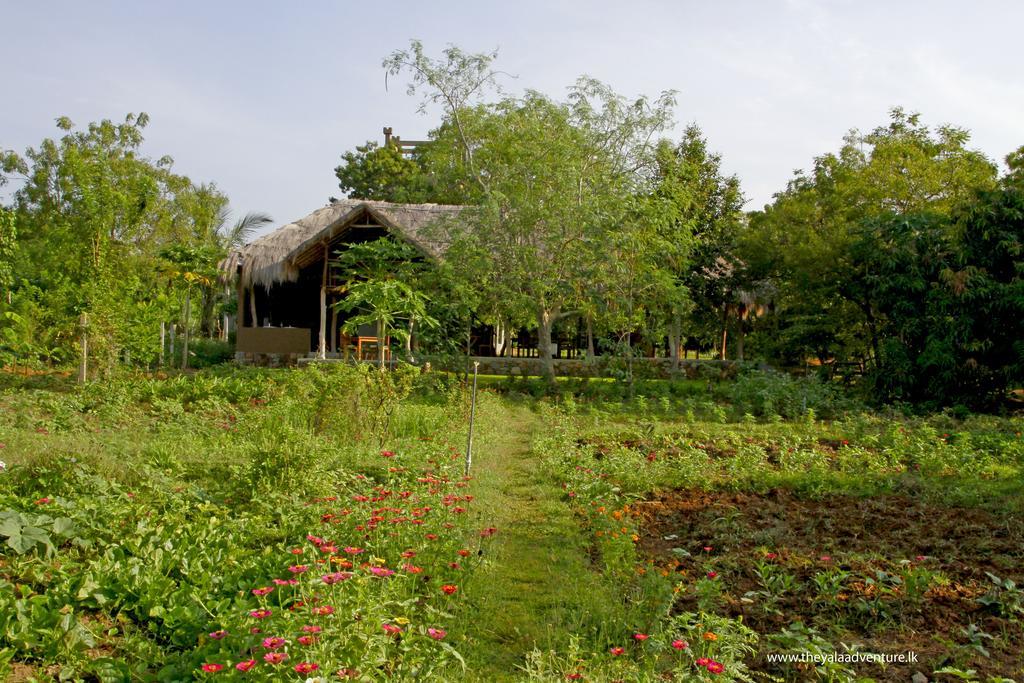 The Yala Adventure Hotel Tissamaharama Exterior foto
