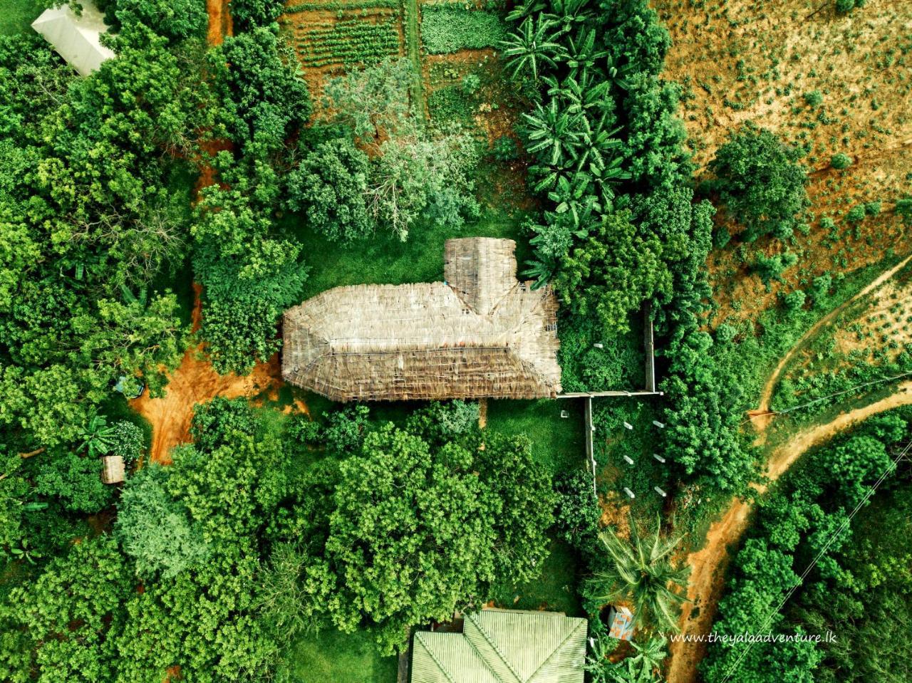 The Yala Adventure Hotel Tissamaharama Exterior foto