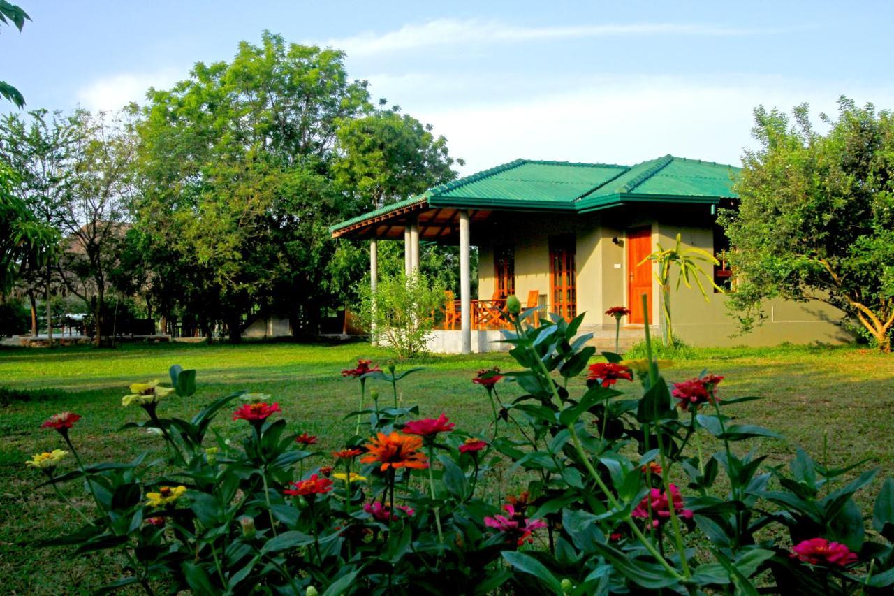 The Yala Adventure Hotel Tissamaharama Exterior foto